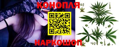 гашик Кунгур