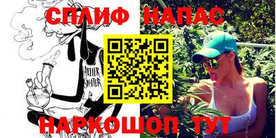 гашик Кунгур