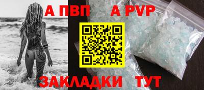 крисы Кулебаки