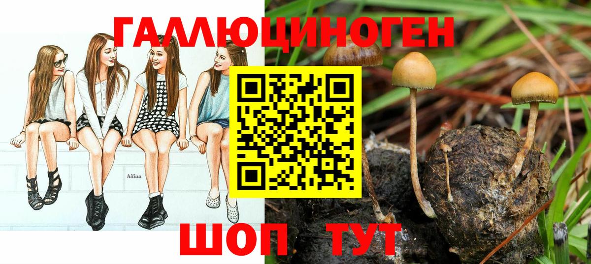 Псилоцибиновые грибы Magic Shrooms Калининград