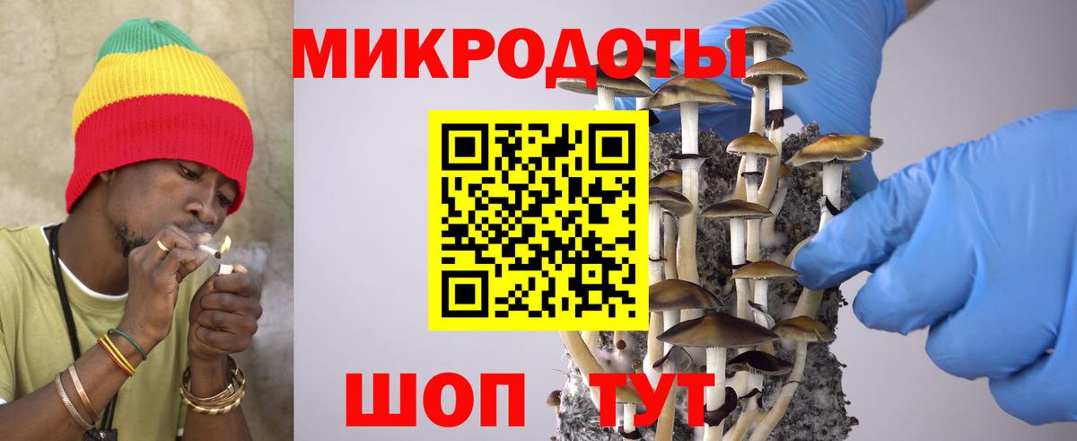 как найти наркотики  Псилоцибиновые грибы Psilocybine cubensis  Вход с VPN  Калининград 